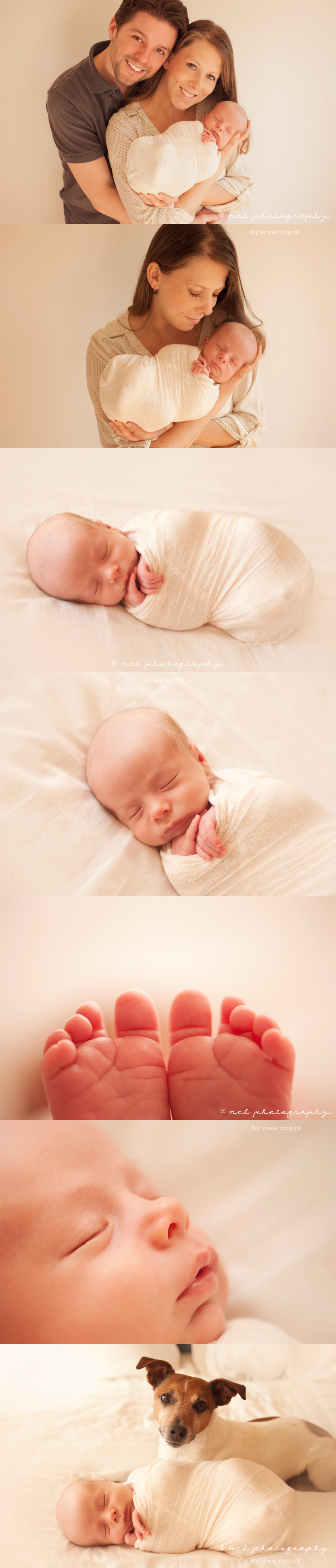 NCL Photography-amsterdam-newborn-fotograaf-newbornfotografie-hond-jack russel-064