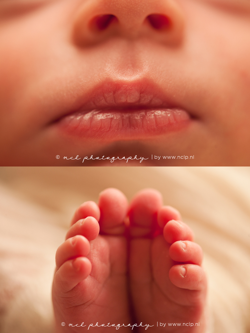 NCL Photography-amsterdam-newborn-fotograaf-newbornfotografie-twins-080